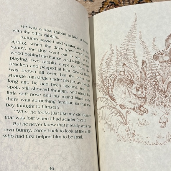 The Velveteen Rabbit or How Toys Become Real by Margery Williams Hardcover book - Picture 8 of 8